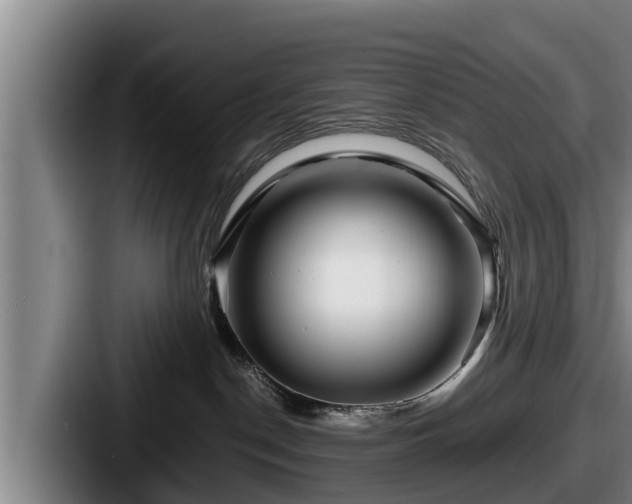 X0000087680190200705111308