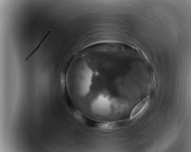 X0000087680191200705111308