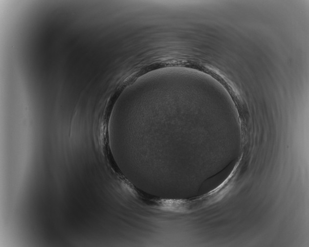 X0000087680192200705111308