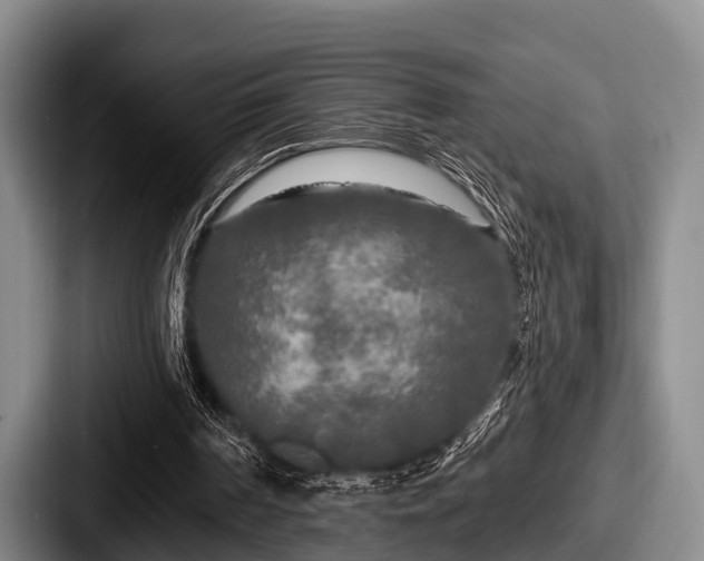 X0000087680194200705111307