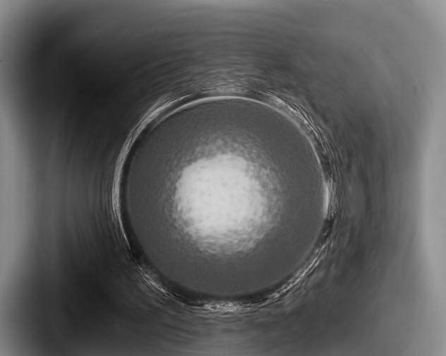 X0000087680195200705111307