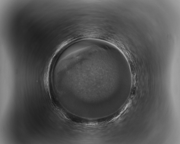 X0000087680196200705111307