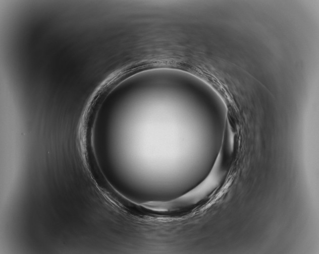 X0000087680197200705111307