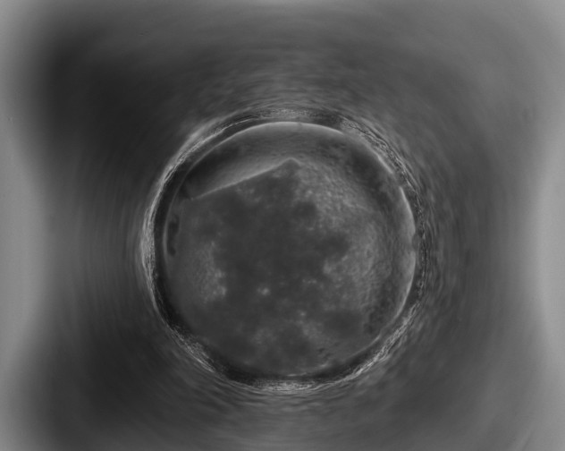 X0000087680198200705111307