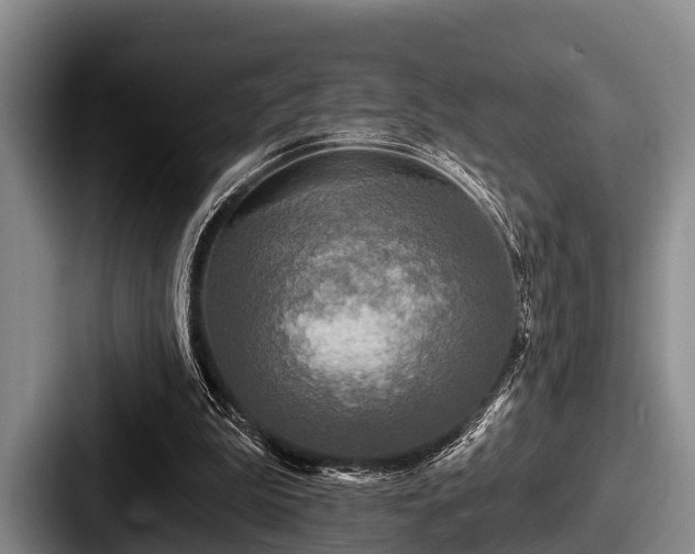 X0000087680199200705111307