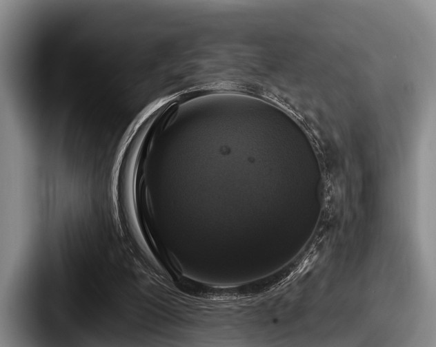 X0000087680200200705111307