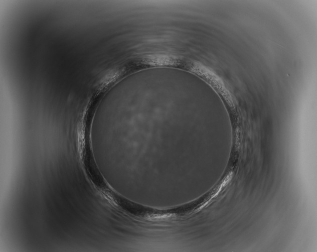 X0000087680202200705111307