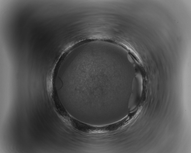 X0000087680204200705111307