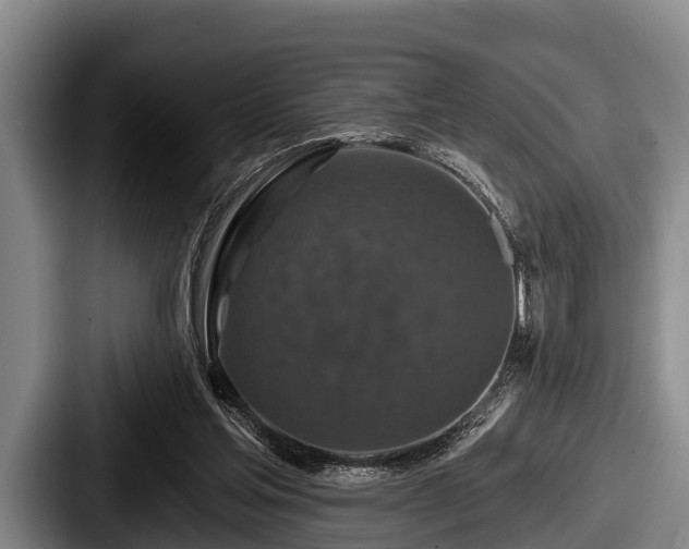 X0000087680205200705111307