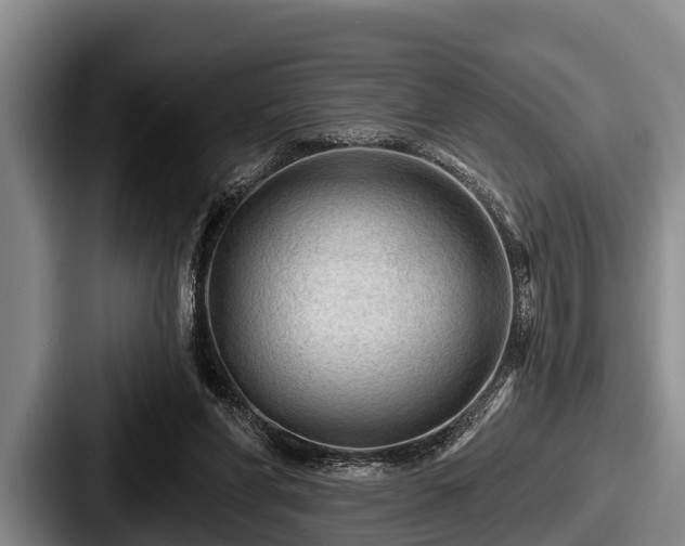 X0000087680206200705111307