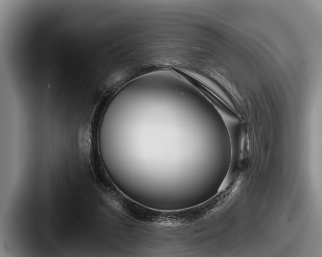 X0000087680207200705111307