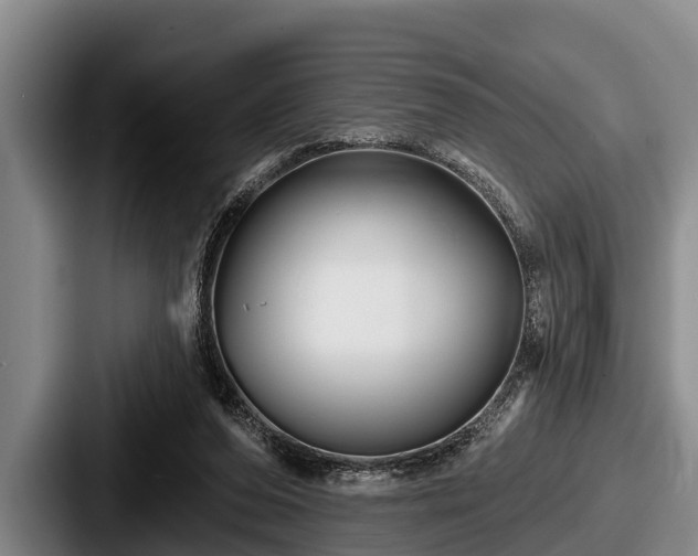 X0000087680208200705111307