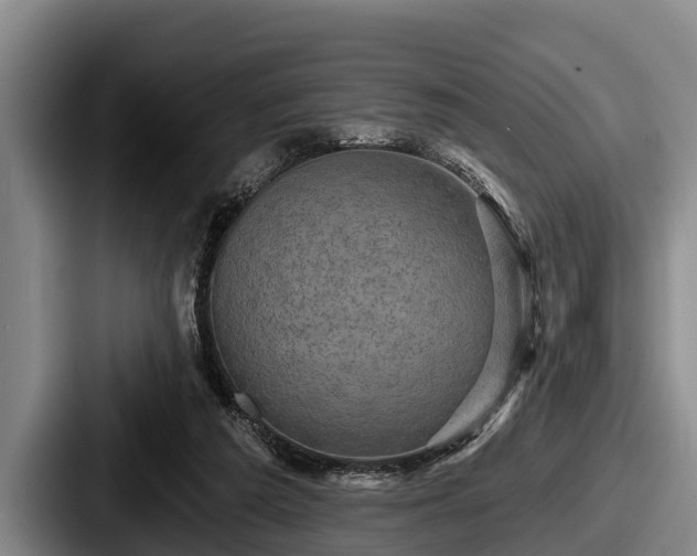 X0000087680209200705111307