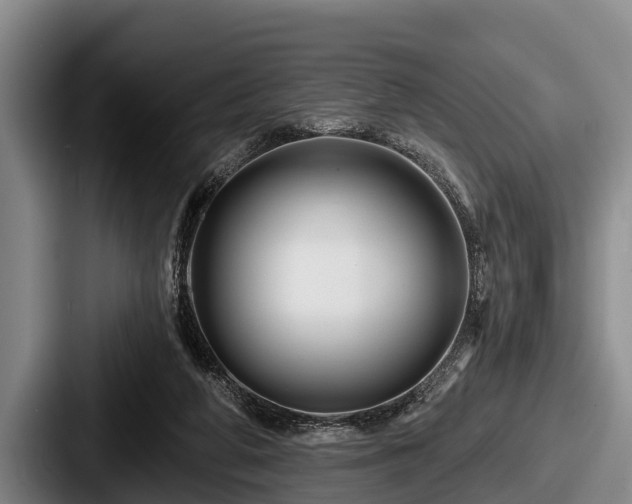 X0000087680210200705111307