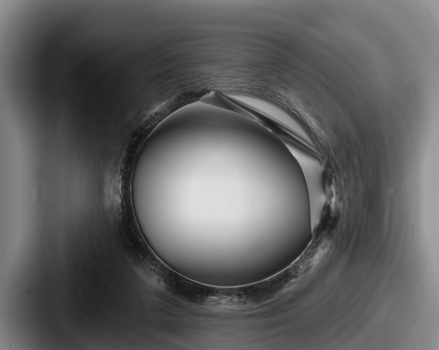 X0000087680211200705111307