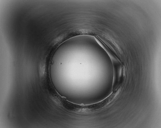 X0000087680212200705111307