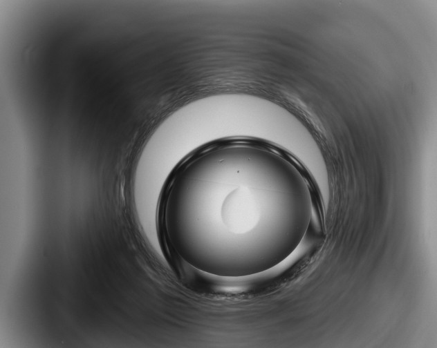 X0000087680213200705111307