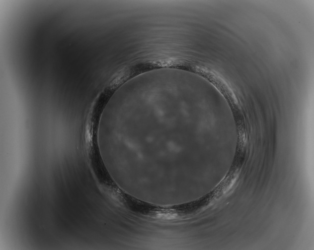 X0000087680214200705111307