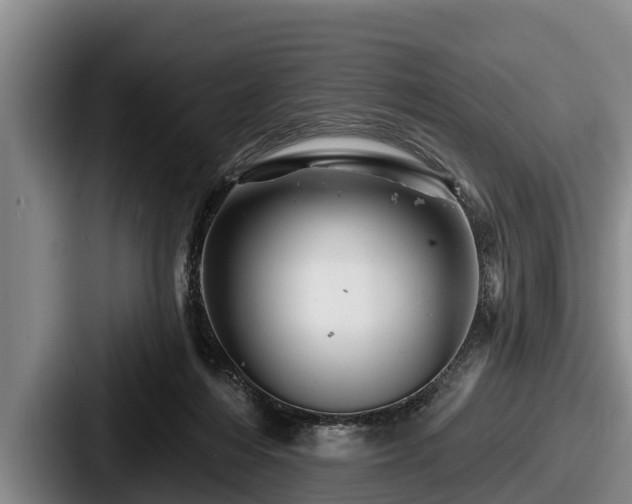 X0000087680216200705111307