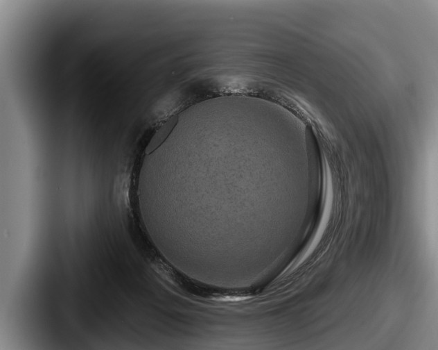 X0000087680217200705111307