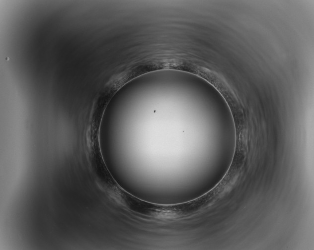 X0000087680218200705111307