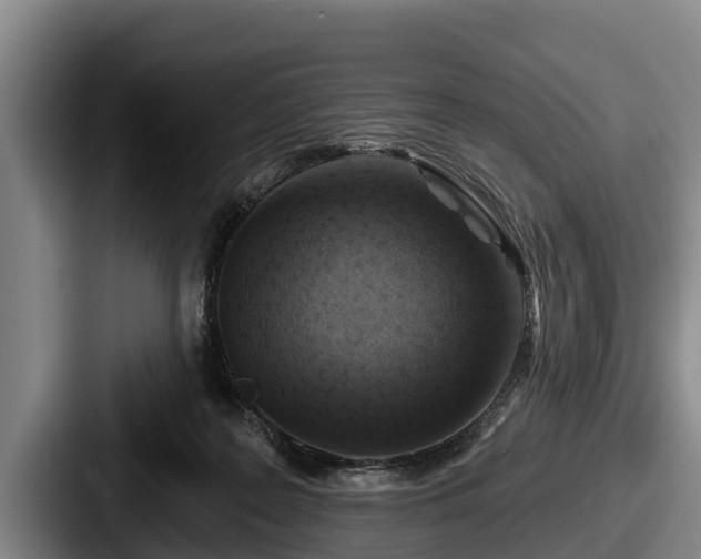 X0000087680219200705111307