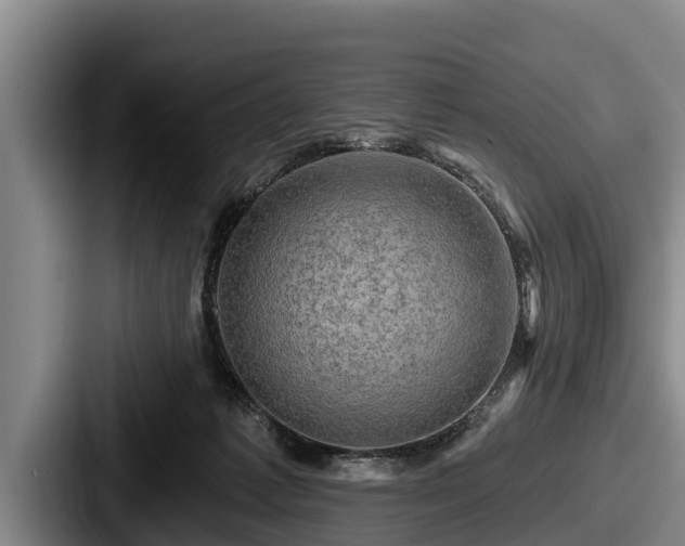 X0000087680221200705111307