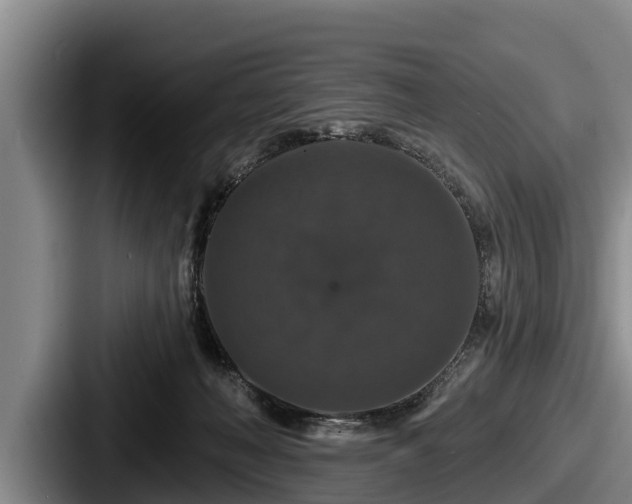 X0000087680222200705111307