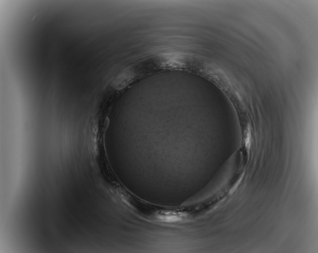 X0000087680223200705111307