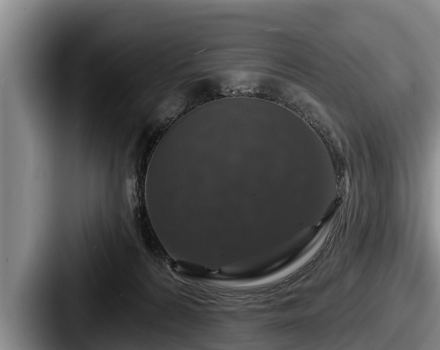 X0000087680224200705111307