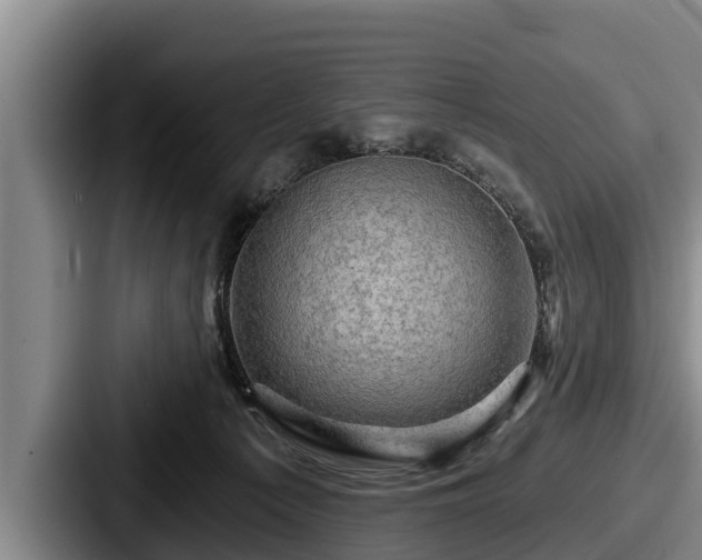 X0000087680225200705111307