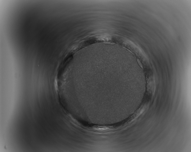 X0000087680229200705111307