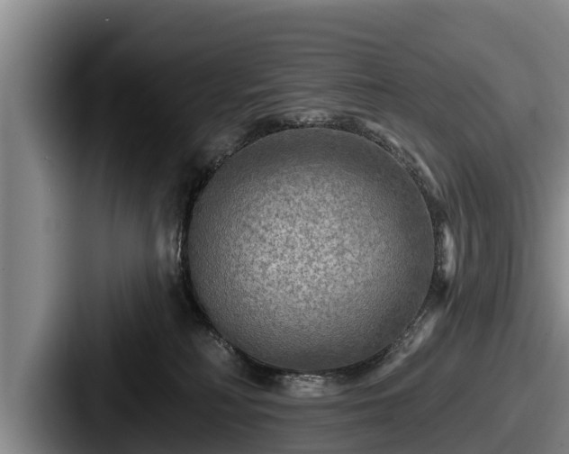 X0000087680230200705111307