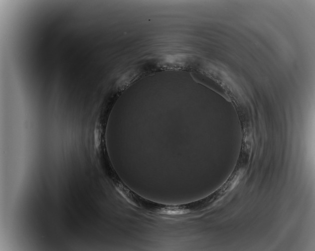 X0000087680231200705111307