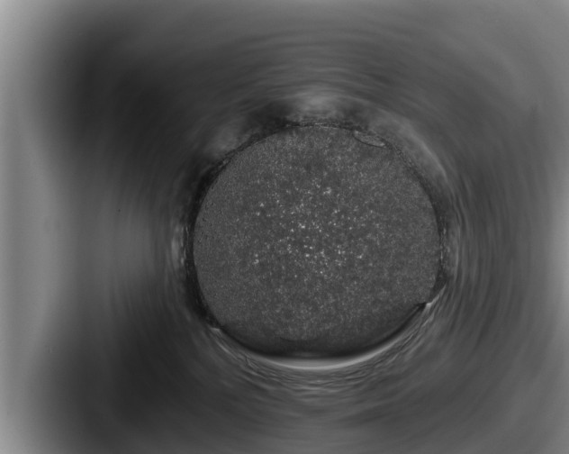 X0000087680232200705111307