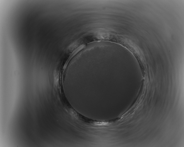 X0000087680233200705111307