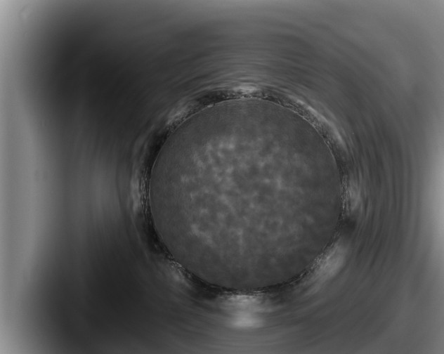 X0000087680236200705111307