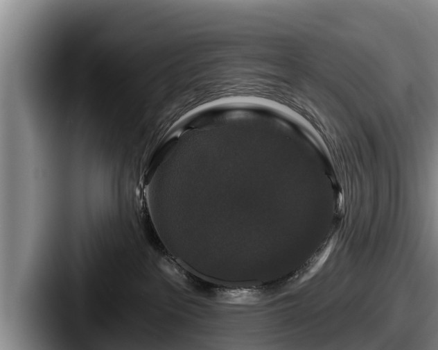 X0000087680237200705111307