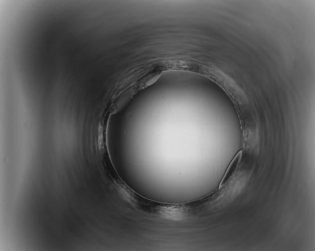 X0000087680238200705111307