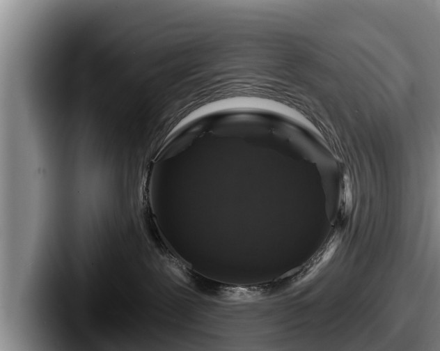 X0000087680239200705111306