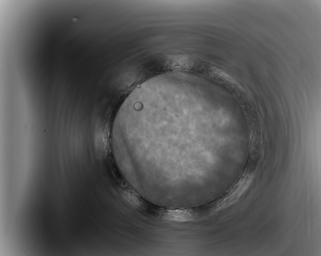 X0000087680240200705111306