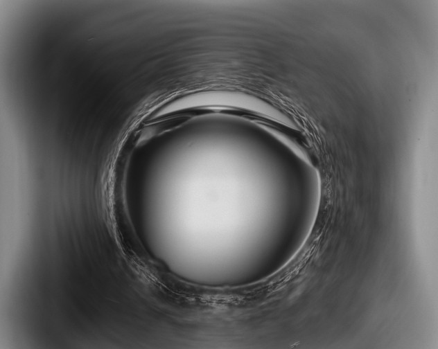 X0000087680242200705111306