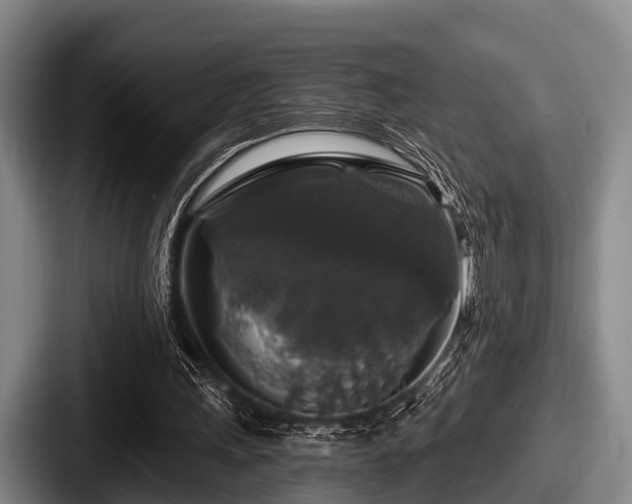 X0000087680243200705111306