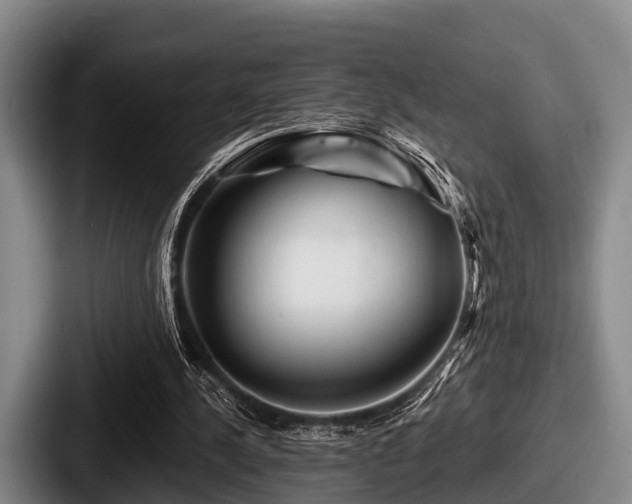 X0000087680244200705111306