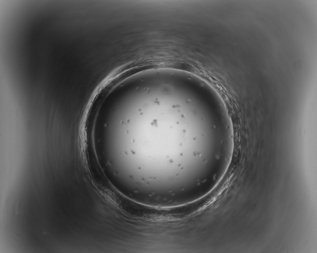 X0000087680246200705111306