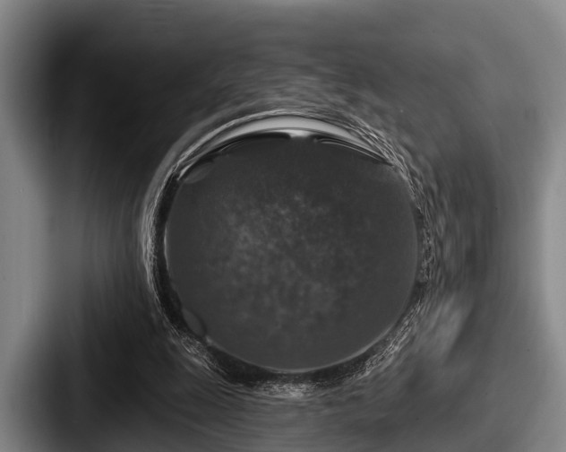 X0000087680247200705111306