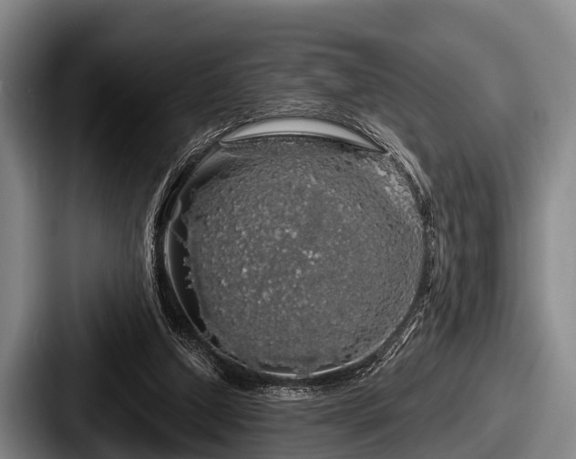 X0000087680250200705111306