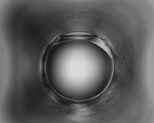 X0000087680251200705111306