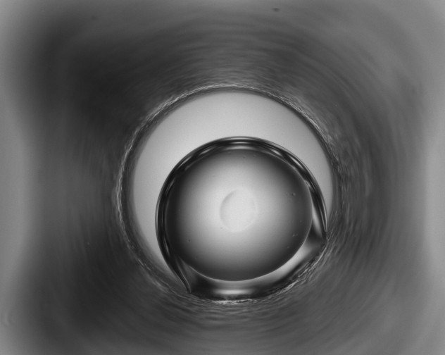 X0000087680252200705111306