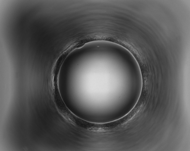 X0000087680254200705111306